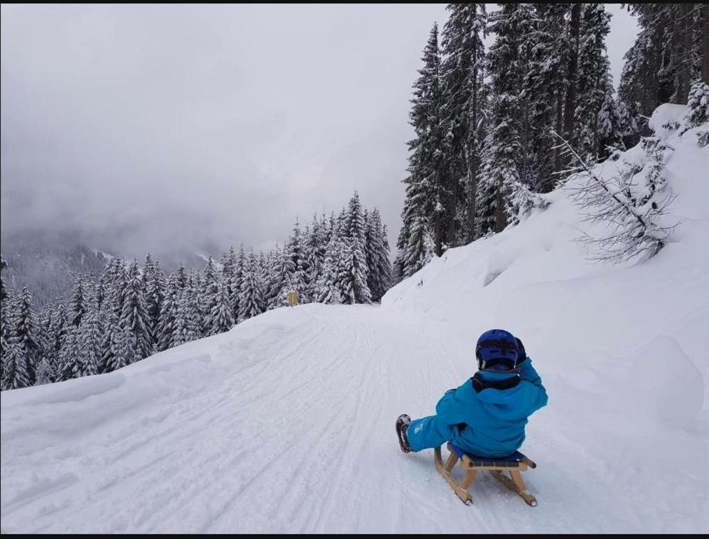 Lieblingsplatz - Ski In Und Ski Out See Exteriör bild